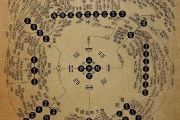 算命的秘密：通过卦象揭示你的命运轨迹与人生方向
