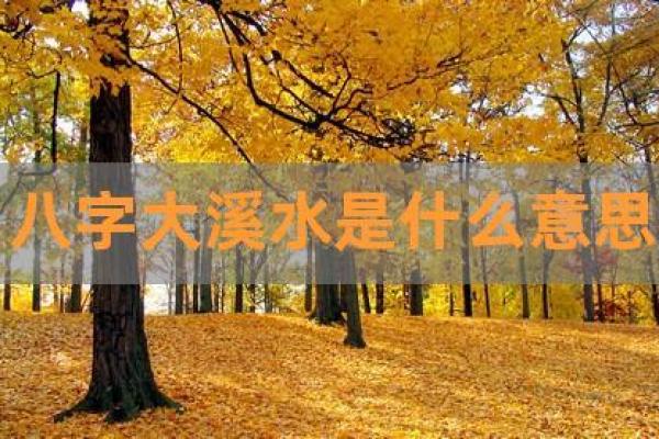 水命人的特征与表现：揭秘水的神秘魅力