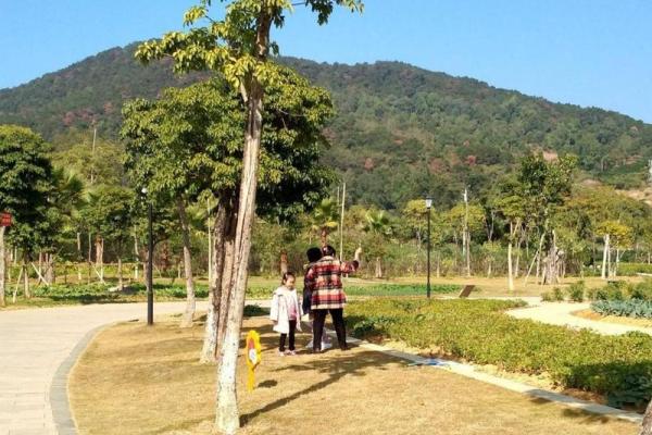 命理中的阳山解析：解码命带阳山的深层意义与影响
