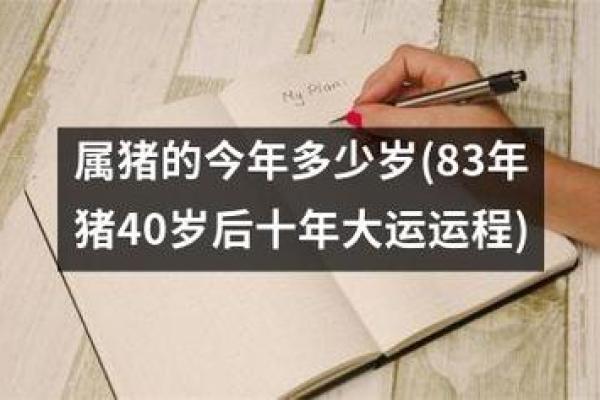 属猪年出生的命运解析：如何更好地把握人生机遇？