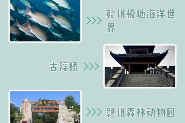 蛤蟆精的传说与命理：探索神秘生物背后的智慧与启示