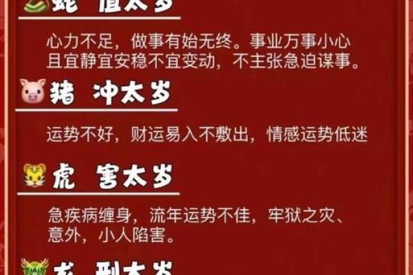 揭秘农历乙巳年出生者的命运特征与人生之路