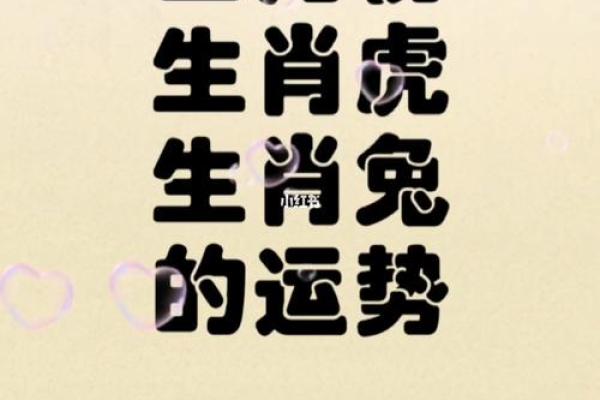 2023年：81年出生的人命运的深度解析与展望