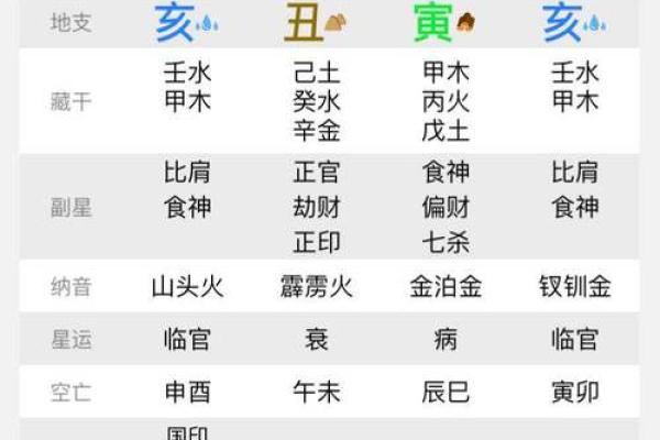 揭秘农历乙巳年出生者的命运特征与人生之路