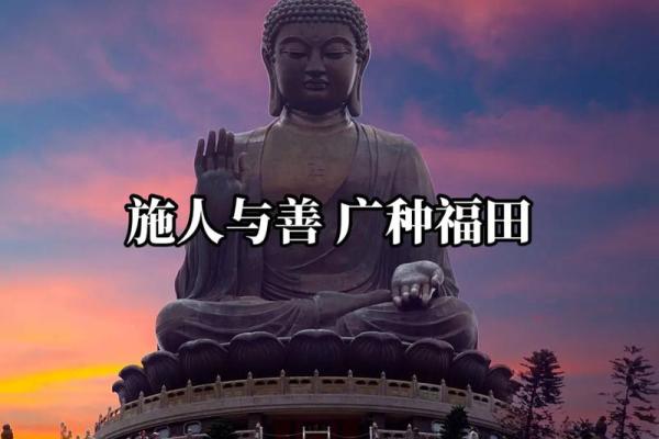 探讨命运与因果关系：好运与厄运的秘密