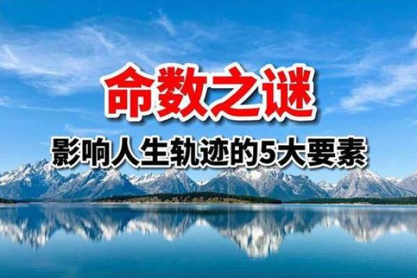 1960年出生的命运与人生轨迹：探寻四十年后的人生智慧