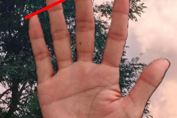 断掌男人的命格解析：这些你必须知道！