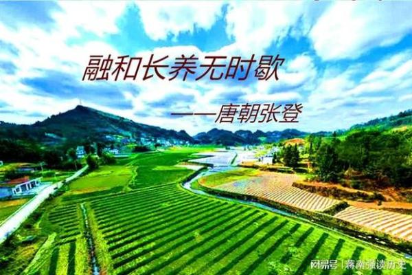 庚午路旁土命的独特风景与生命哲学探讨