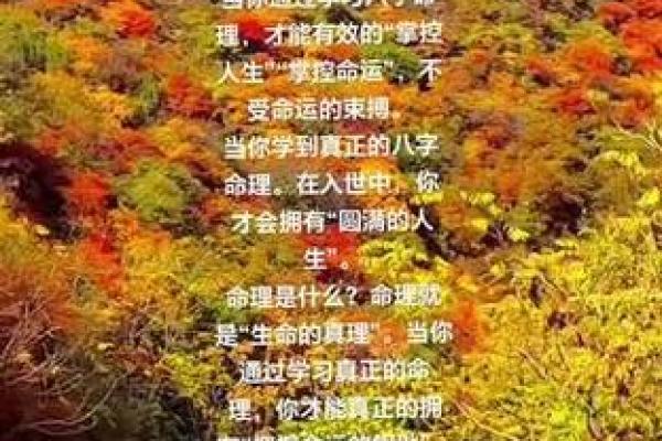 命理的奥秘：探索你的命运与人生指引