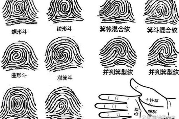 生于甲戌年，探索命运与性格的奥秘