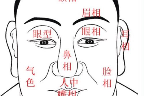 面相分析：哪些特征预示着女性命运的不佳？