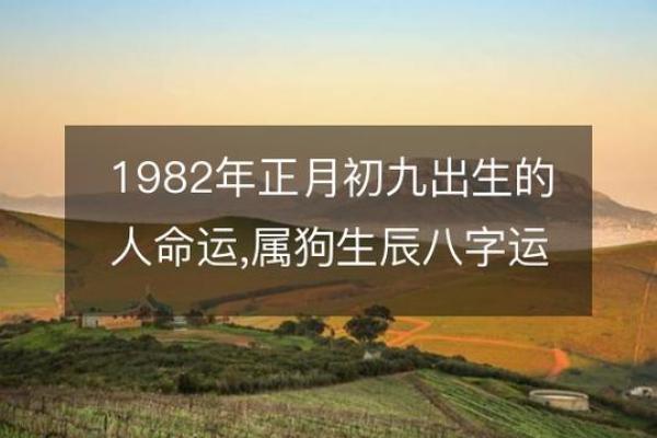 狗命贵的人是什么命？探讨与狗相关的人生哲学与命理