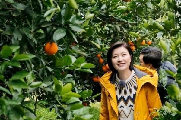 寿材与命：生死价值的深思与启示