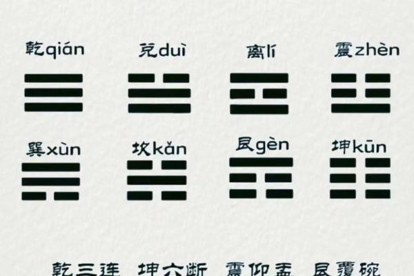 1981年出生的鸡命人：探索八字命理的独特魅力与人生智慧