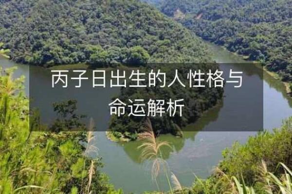解析下午出生人的命运与性格特征