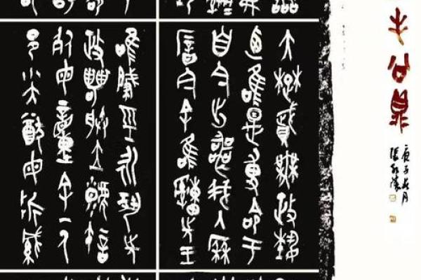 鼻命先生的生肖秘密：探寻隐藏在命运背后的性格与特征