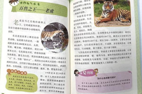解读2022年虎年命理：揭示生肖虎的命运与性格奥秘