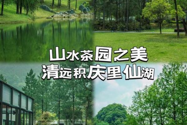 辛酉石榴木命的人生指南：避开这些忌讳，迎接好运气！