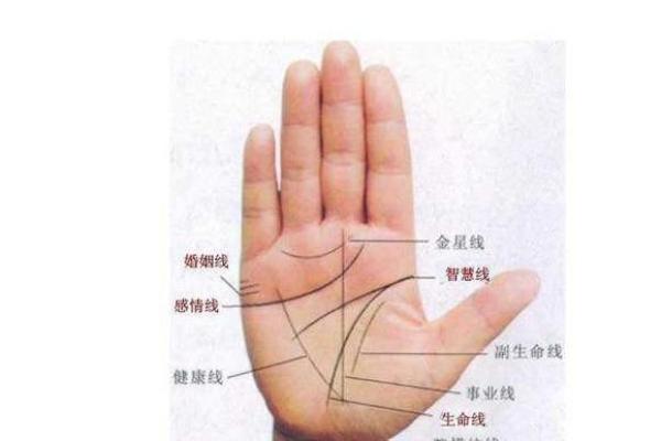 探索手相中的命运之谜：怎样通过手相看透人生轨迹？