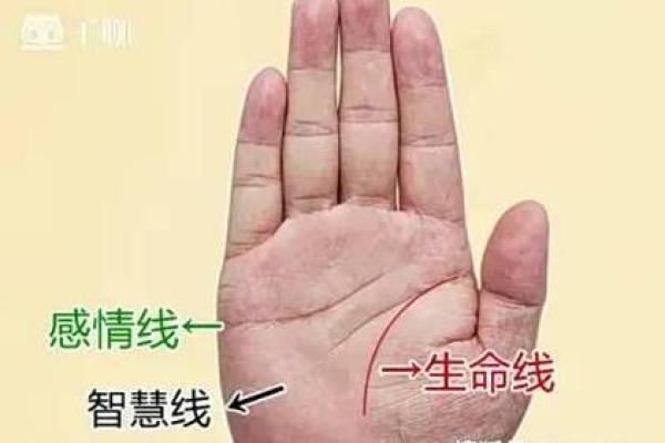 男人右手断掌的命运解析：神秘的手相与人生轨迹