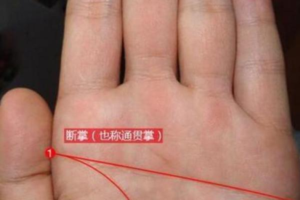 男人右手断掌的命运解析：神秘的手相与人生轨迹