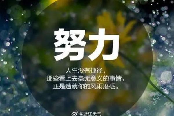 2020年31岁：命运、职业与生活的多重解读