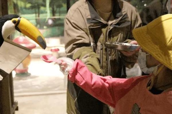 金命纹与神兽的完美搭配：你的命理护航者