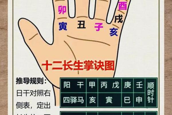 探寻命理学的奥秘：解读命运与生活的方方面面