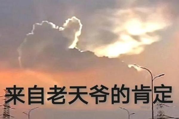 享福延寿之命：追寻健康与幸福的生活哲学
