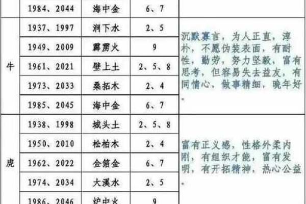 80年男的命运揭秘：从五行角度看其人生轨迹与性格特点