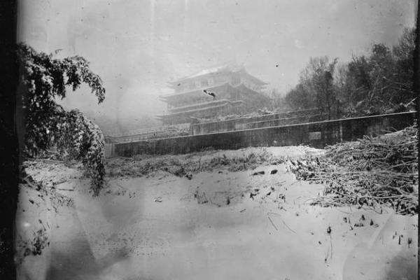 1900弹奏的曲目:音乐中的生命 journey