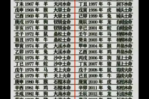 杨柳木命适合佩戴哪些饰品？探寻你的命理之美！