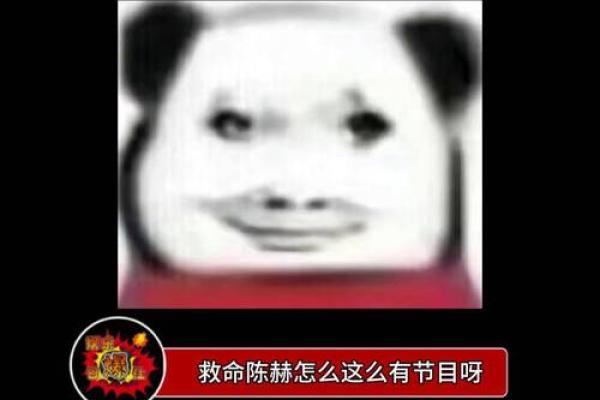 女人镰刀脚的命运解析：揭示神秘的手足相克之说