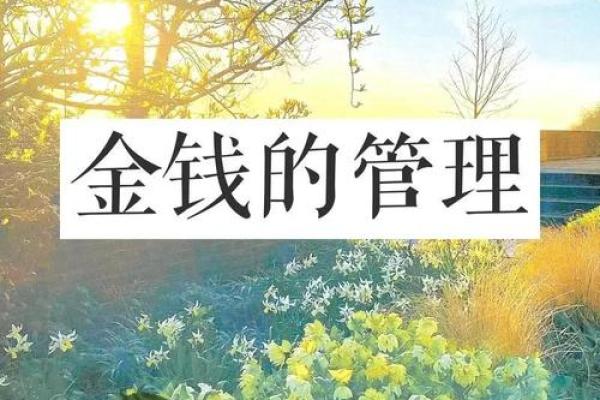 2018年戌时命理揭秘：揭开你的命运之谜