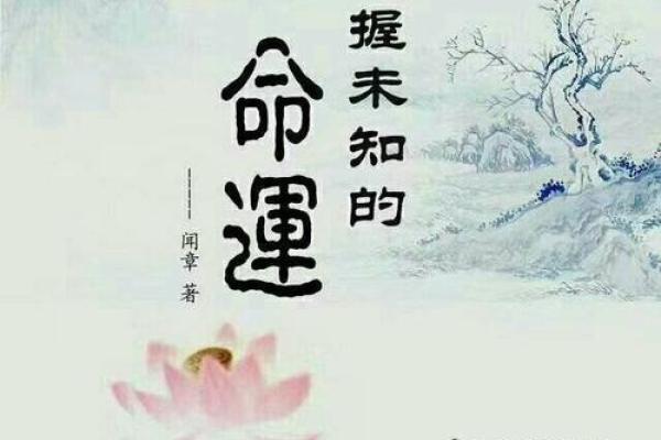 一九九年结婚的命运：探寻婚姻的深刻意义与幸福之道