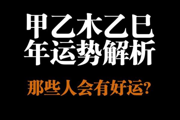 木命人的首饰选择：如何通过佩戴提升运势与魅力