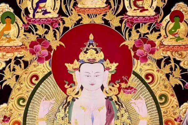 1973年出生的鼠年命运解析：如何拥抱机遇与挑战