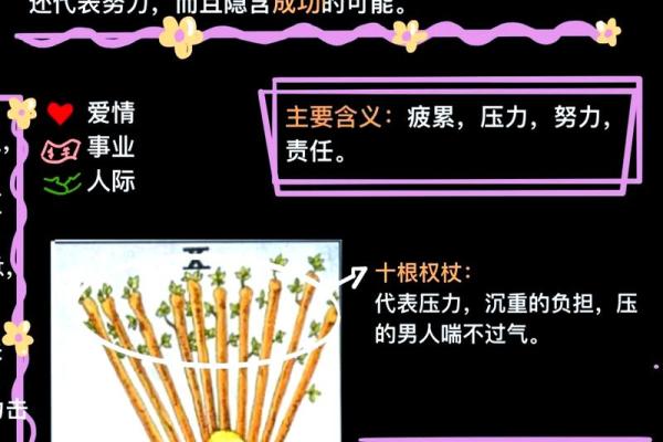 探秘命中注定的星宿：算命背后的奥秘与启示