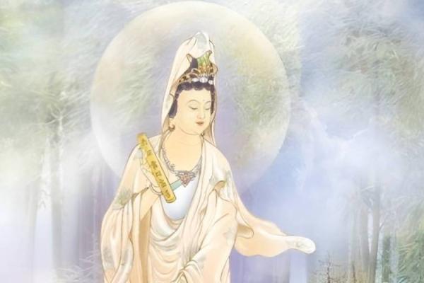 1973年出生的鼠年命运解析：如何拥抱机遇与挑战