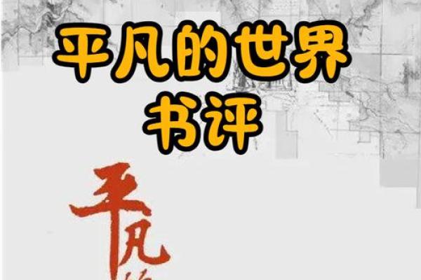 1993年出生的女性命运与幸福追求探讨