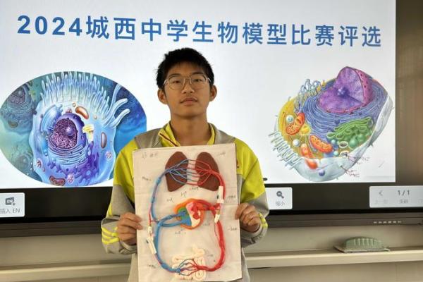 命运之指：从指尖看人生的奥秘与启示