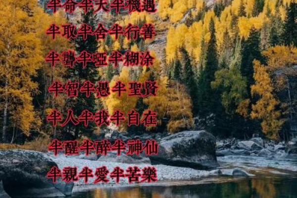 好命与命好的深刻解读：人生的选择与机遇