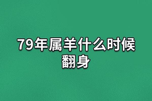 2026年属什么命年？揭开鼠年背后的神秘面纱！