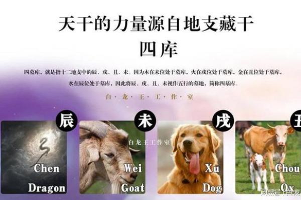探索骨重2.6钱与命理之间的奥秘：你不知道的命运之路