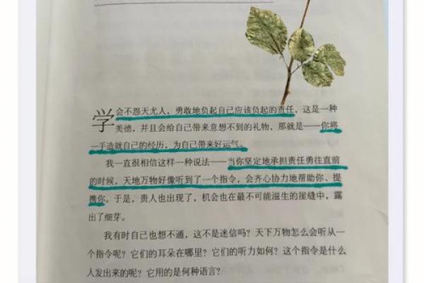 命运的自我掌控：你与未来的“约会”