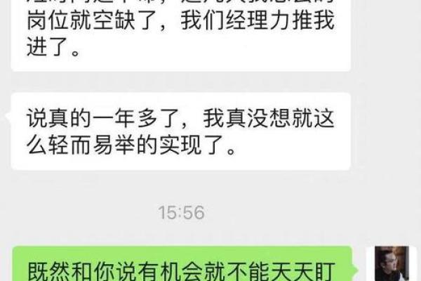 探索中华传统命理：不同属相的命运与人生起伏