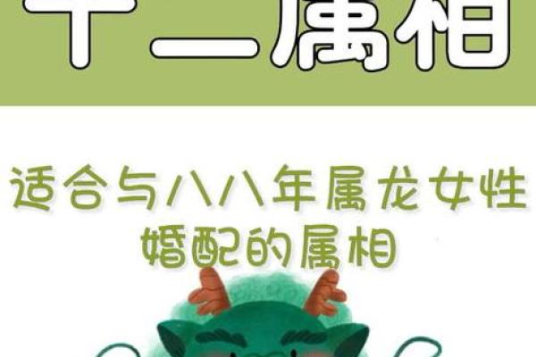 探索中华传统命理：不同属相的命运与人生起伏