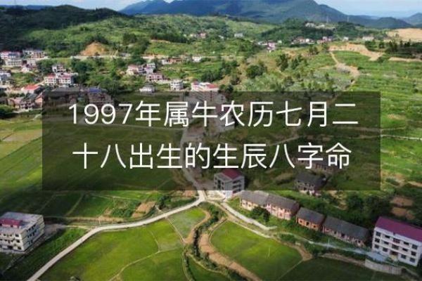 揭秘47岁男人命运：运势、事业与家庭的全景解析