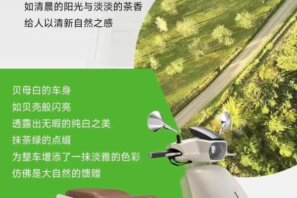 适合穿绿色的命理解析：揭秘色彩与命运的奥秘
