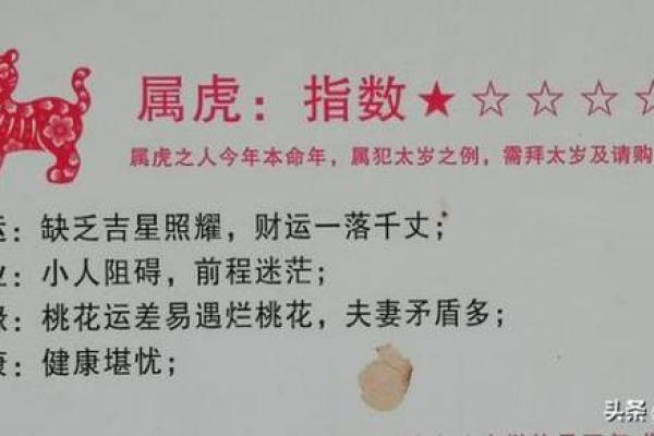 2023年虎年：探索虎年的命运与运势，扬帆起航新征程